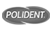 Polident